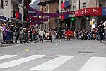 Gara delle Bighe 2011-7878